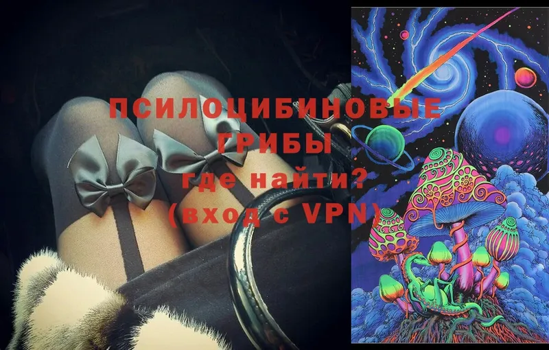 Галлюциногенные грибы MAGIC MUSHROOMS  блэк спрут онион  Майкоп  закладка 